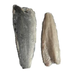 File de Sainthe Salgado Cong. Kg Seapro