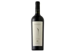 Vinho Argentino Cabernet Sauvignon Pulenta 750Ml