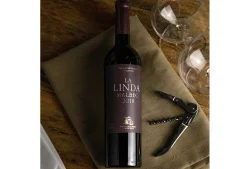 Vinho Tinto Argentino La Linda Malbec 750Ml