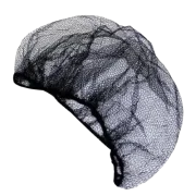 Touca de Rede Preta com 10Un