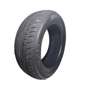 Pneu 195/55 R15 Xbri P6 Fastway 85V