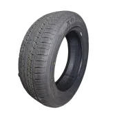 Pneu 195/55 R16 Xbri P5 Fastway 87V