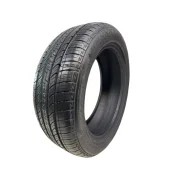 PNEU 205/55 R17 DURABLE 95V