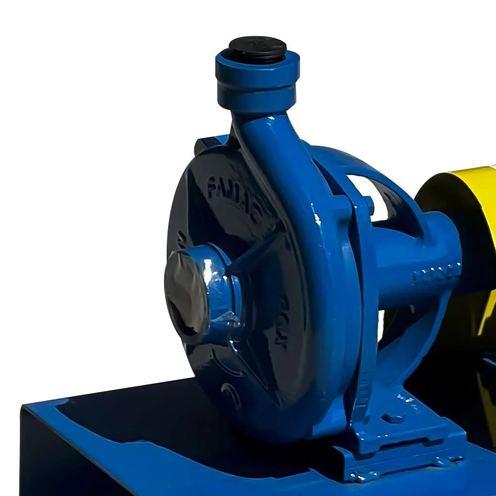 Bomba de Transferência 200L/Min Alta Vazão 230/380V com Motor Weg À Prova de Explosão Gp Company