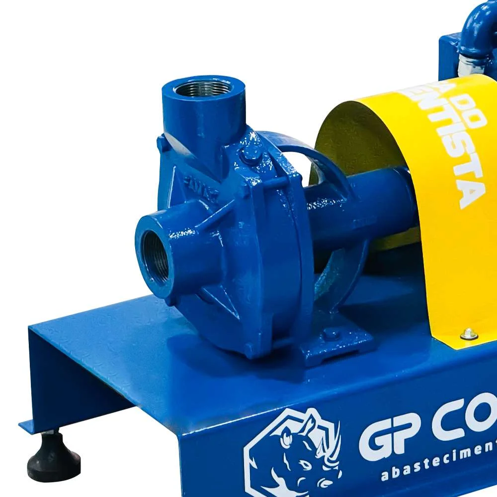 Bomba de Transferência Alta Vazão para Óleo Diesel - 230/380V - 370L/Min Gp Company