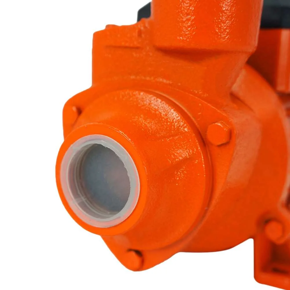 Bomba Periférica 0,5Hp 1/2Cv Intech Machine 60Hz Bp500 Monofásica 220V