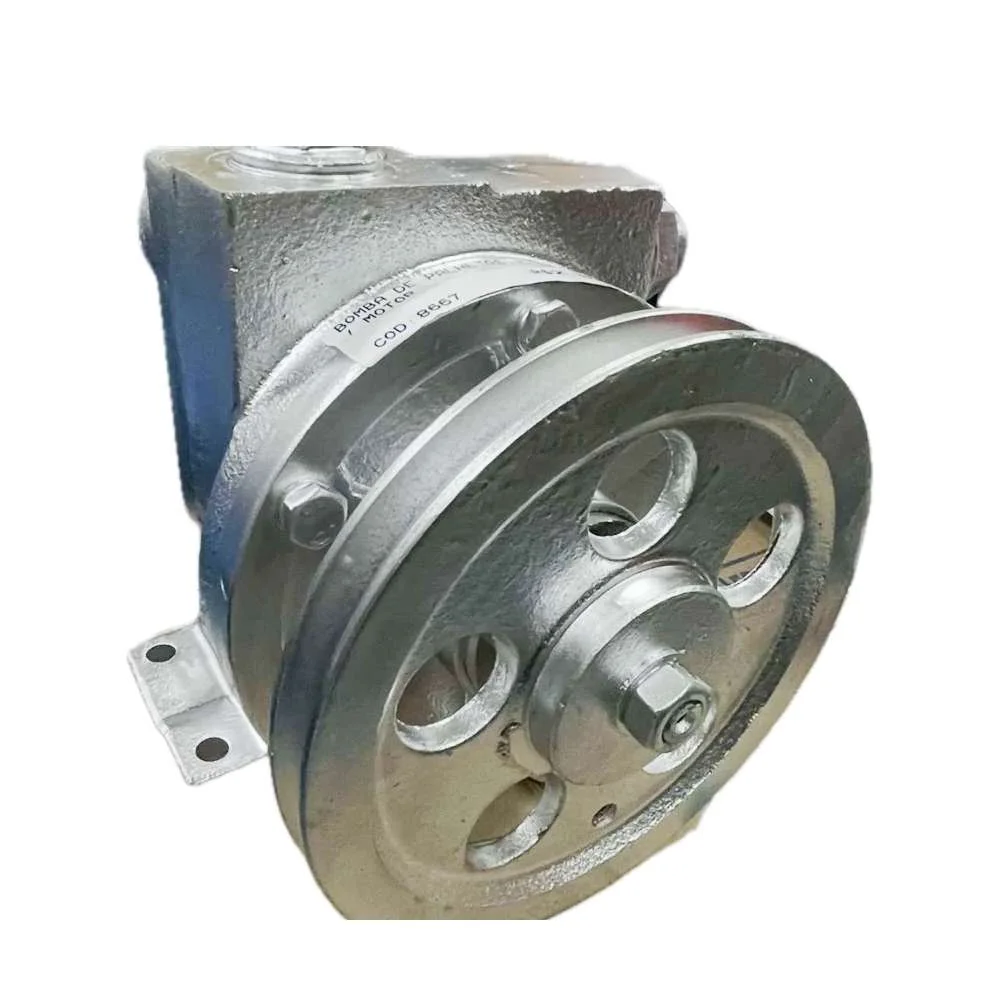 Bomba Rotativa de Palheta 100L/Min Bremen 8667