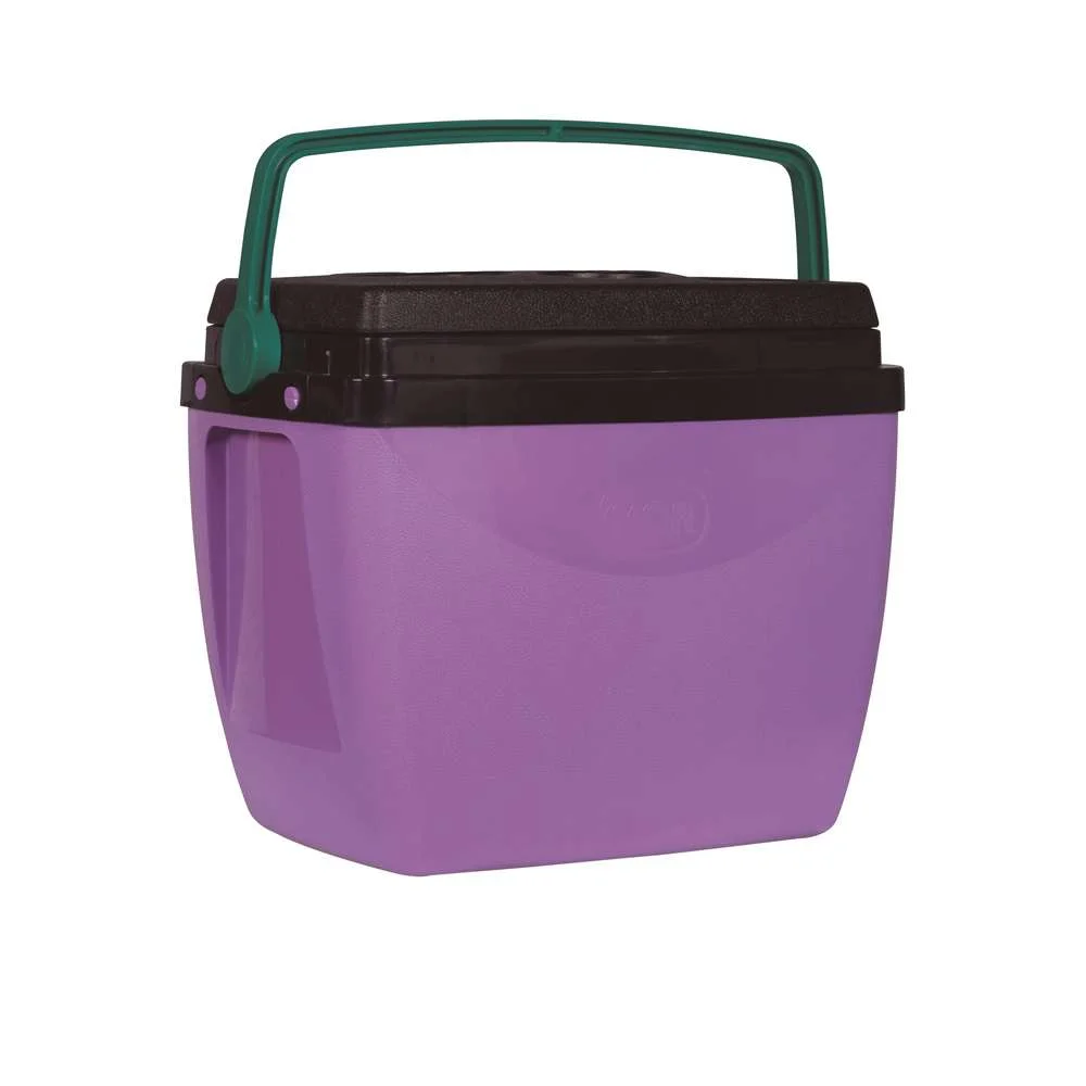 Caixa Térmica 18L 24 Latas Mor Lilás com Verde