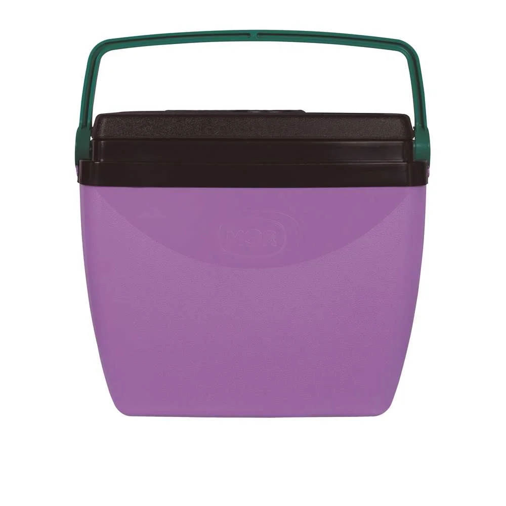 Caixa Térmica 18L 24 Latas Mor Lilás com Verde