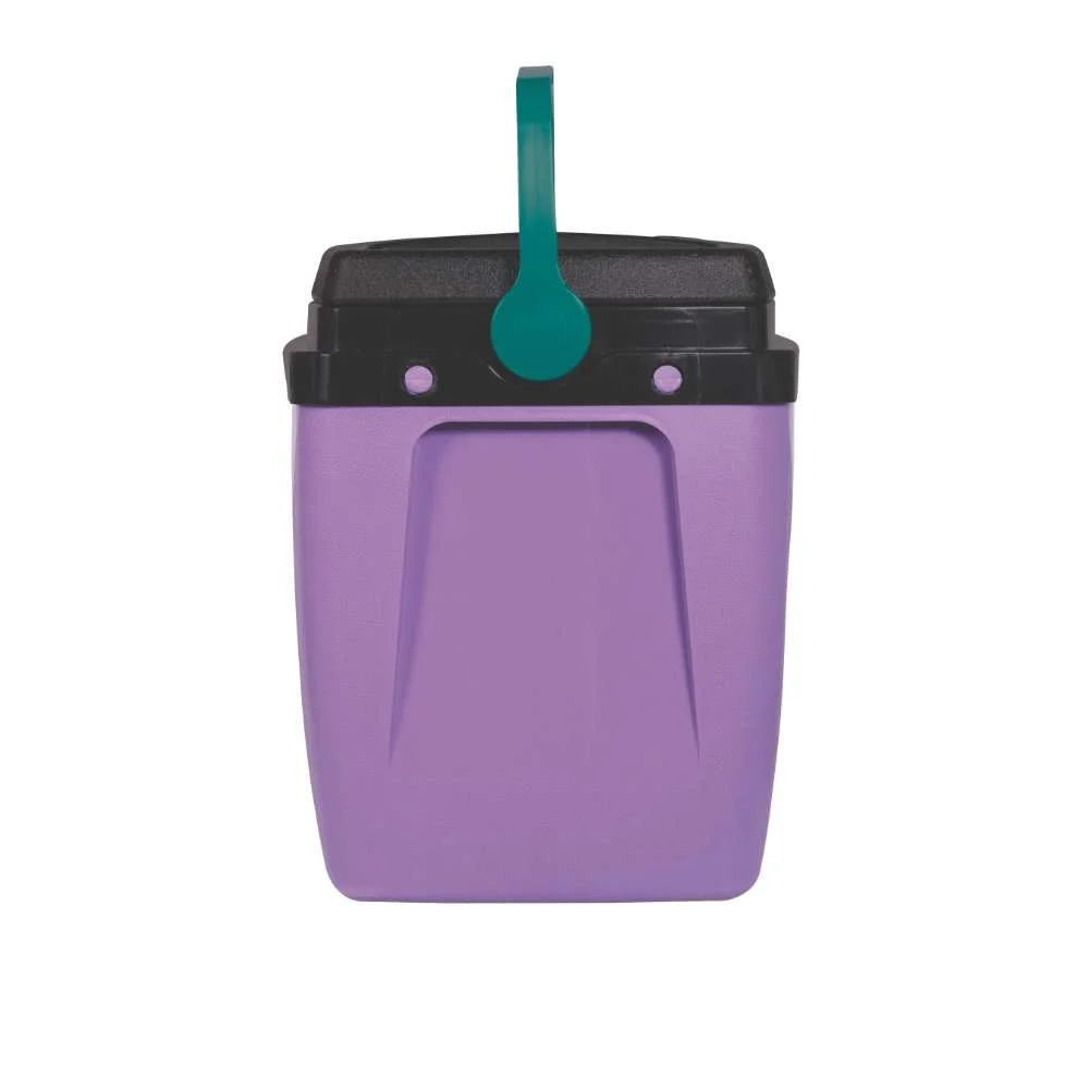 Caixa Térmica 18L 24 Latas Mor Lilás com Verde