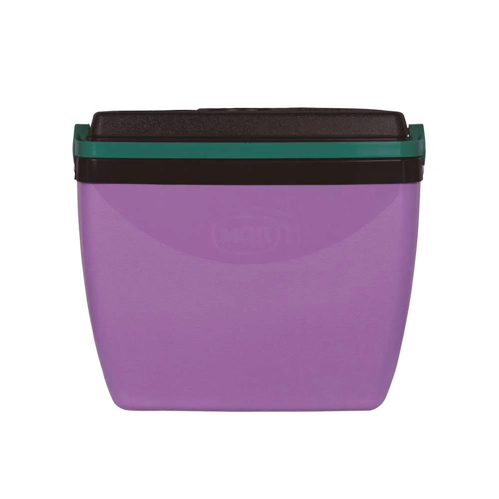 Caixa Térmica 18L 24 Latas Mor Lilás com Verde