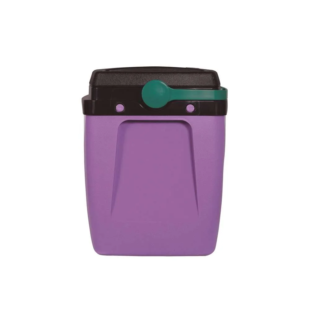 Caixa Térmica 18L 24 Latas Mor Lilás com Verde