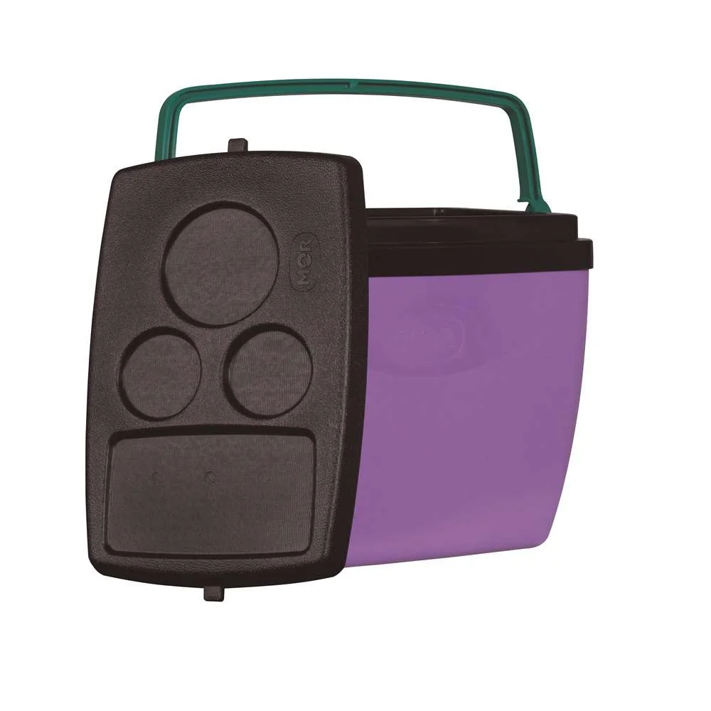 Caixa Térmica 18L 24 Latas Mor Lilás com Verde