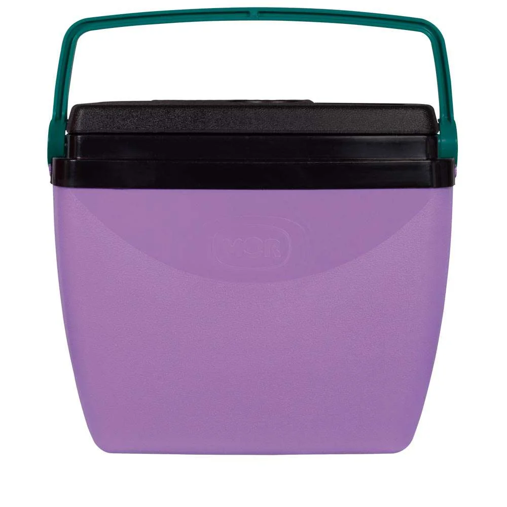 Caixa Térmica 26L 35 Latas Mor Lilás com Verde