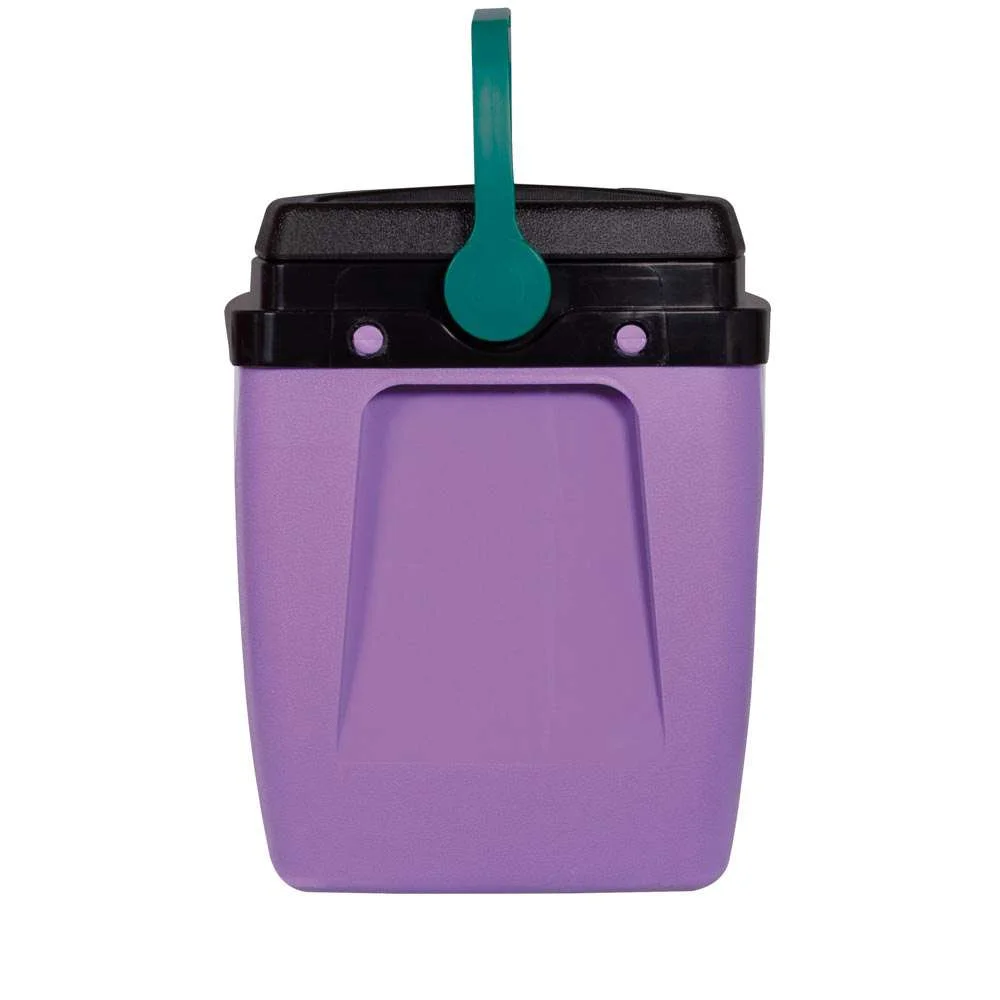 Caixa Térmica 26L 35 Latas Mor Lilás com Verde