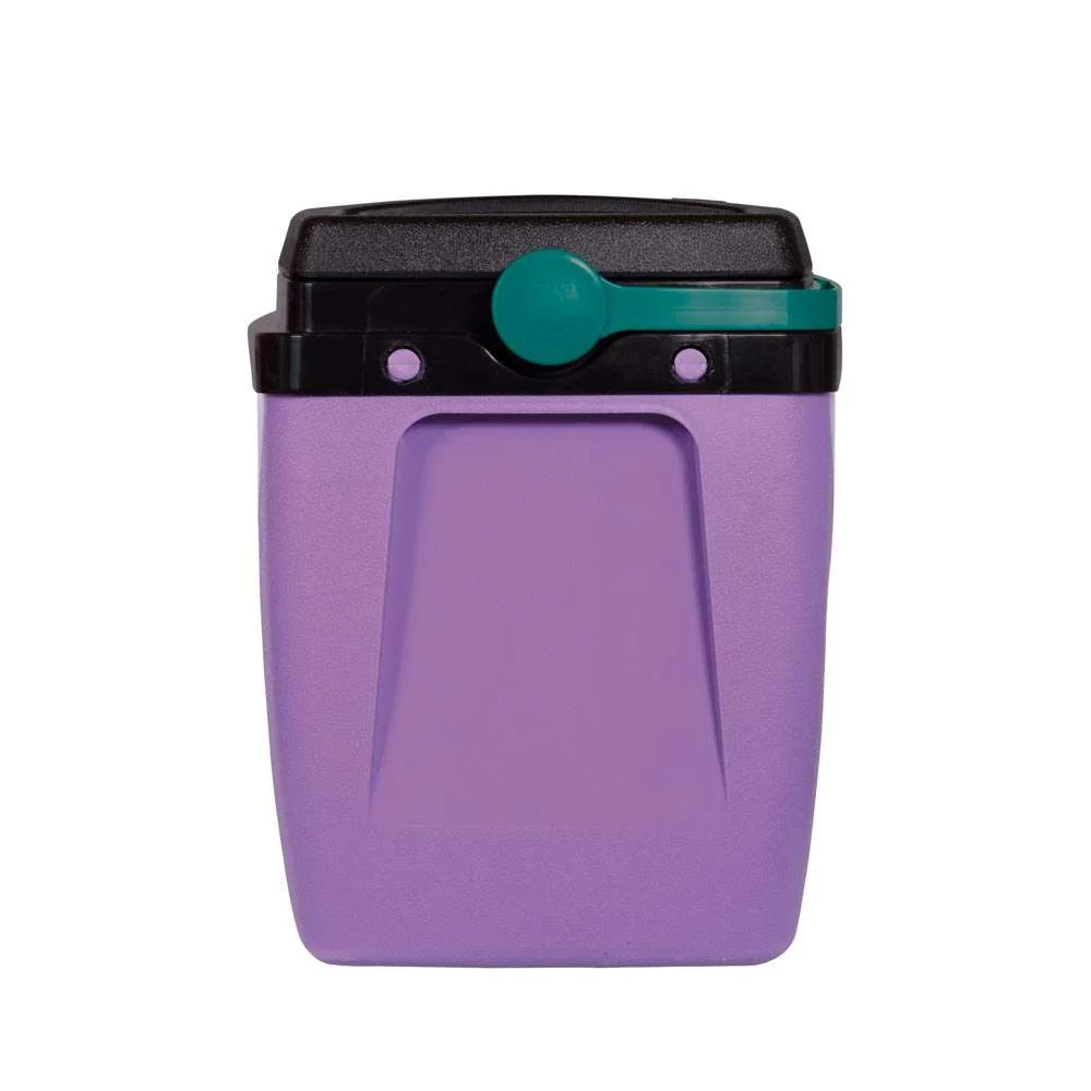 Caixa Térmica 26L 35 Latas Mor Lilás com Verde