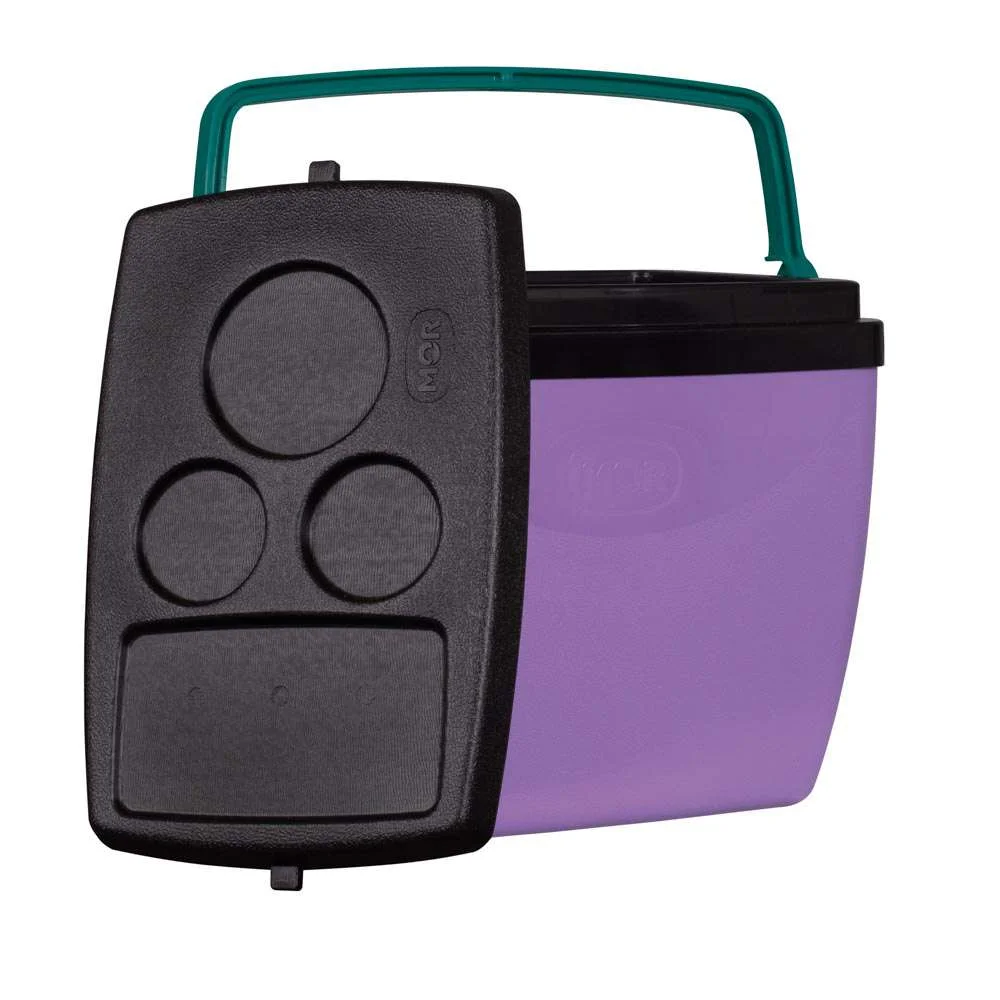 Caixa Térmica 26L 35 Latas Mor Lilás com Verde