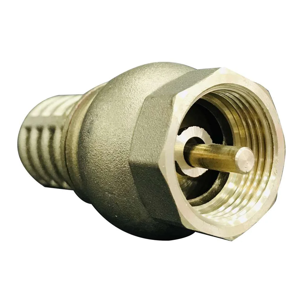 Valvula de Pe 2 Bsp Latao Bremen 2400