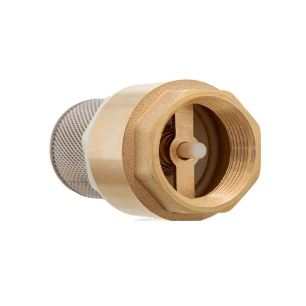 Valvula Fundo de Poco de Latao C/ Tela 3/4