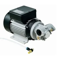 Bomba de Abastecimento para Óleo Lubrificante 1000W 220V