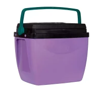 Caixa Térmica 26L 35 Latas Mor Lilás com Verde