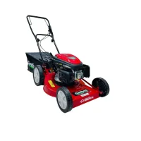 Cortador de Grama Robusta a Gasolina 6Hp 4T Gr6000C Garthen