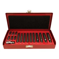 Jogo de Bits Ribe 3/8 17 Peças Vip