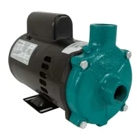 Motobomba para Piscina 1,3Hp Monofásica 127V