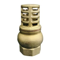 Valvula de Pe 2 Bsp Latao Bremen 2400