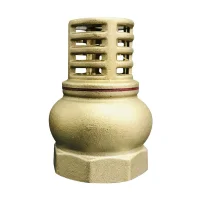 Válvula de Pé 3/4 Bsp Latão Bremen 2402 - Alta Durabilidade e Vedação Perfeita