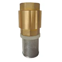 Valvula Fundo de Poco de Latao C/ Tela 3/4