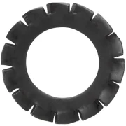 Arruela Dentada Externa Din 6798 Fosfatizado Milimetro