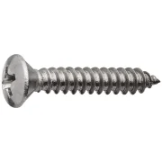 Parafuso Atarrachante Oval Phillips Din 7983 Inox 304