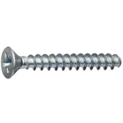 Parafuso Plastic Chata Phillips Zincado
