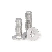 Parafuso Cabeça Extra Fina Flat Inox 304