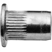 Rebite com Rosca Cabeça Plana Estriado