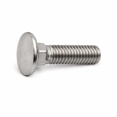 Parafuso para Madeira Francês Din 603 sem Porca Inox 304 Milimetro