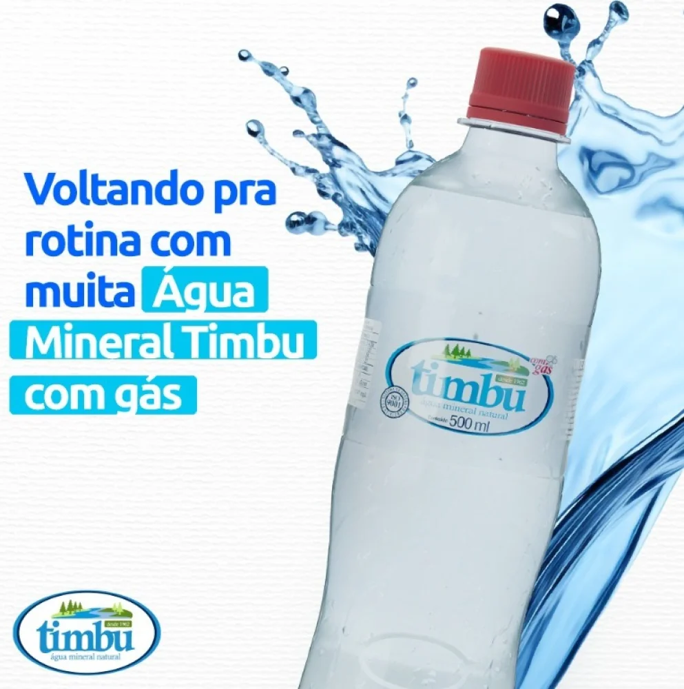 Agua Mineral Timbu C/Gas 500 ML
