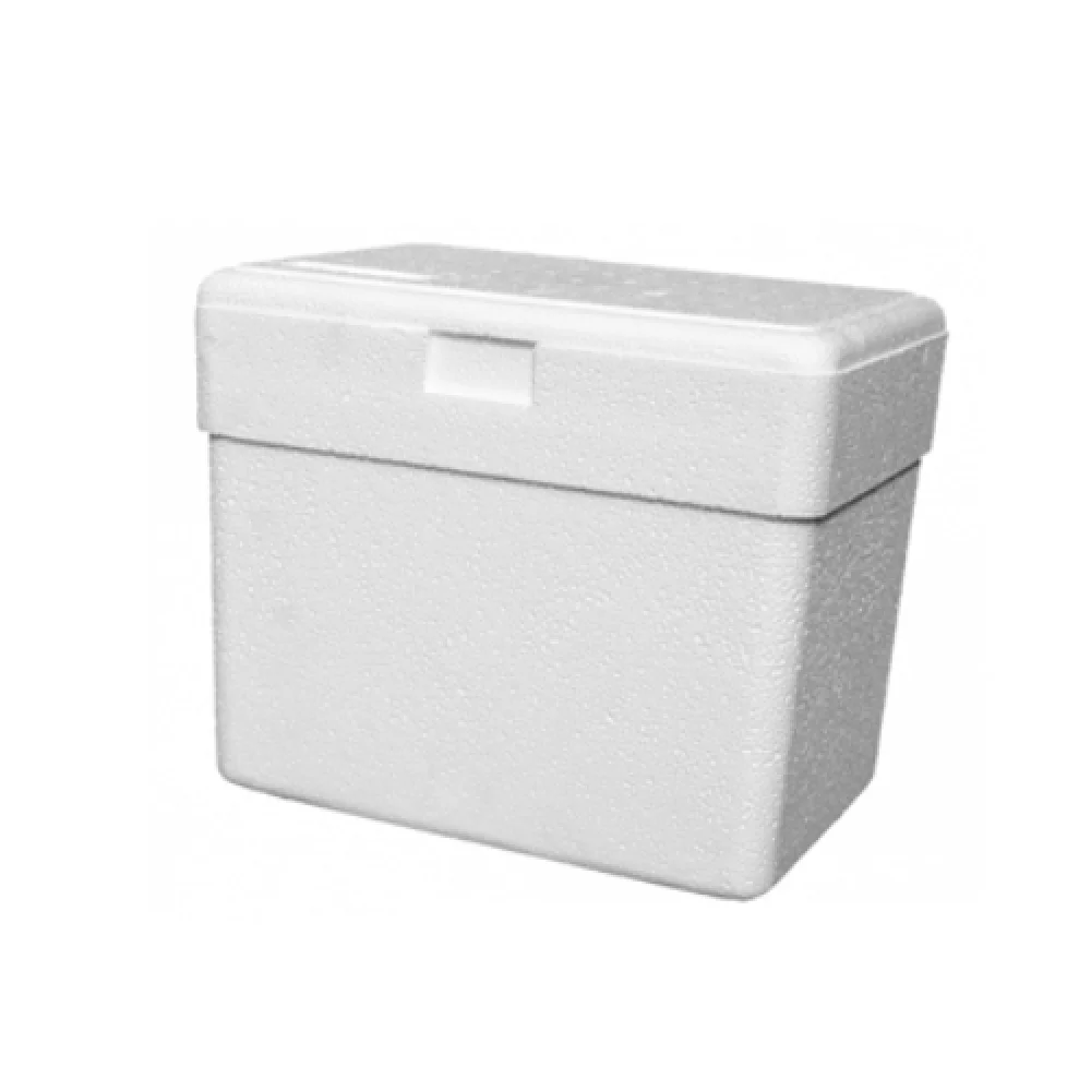 Caixa Térmica de Isopor 08 Litros Azul/Branca Isoterm