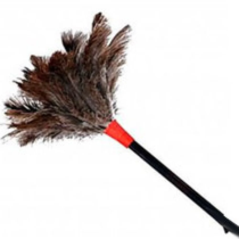 Espanador de Pena N 30 Canada