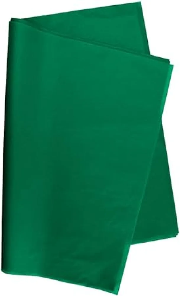 Papel Seda Verde Bandeira C/10 Folhas 48X60