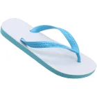Chinelo Havaianas Azul Naval 39/40