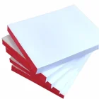 Rascunho Sulfite 8 CM X 12 CM C/ 100 Folhas