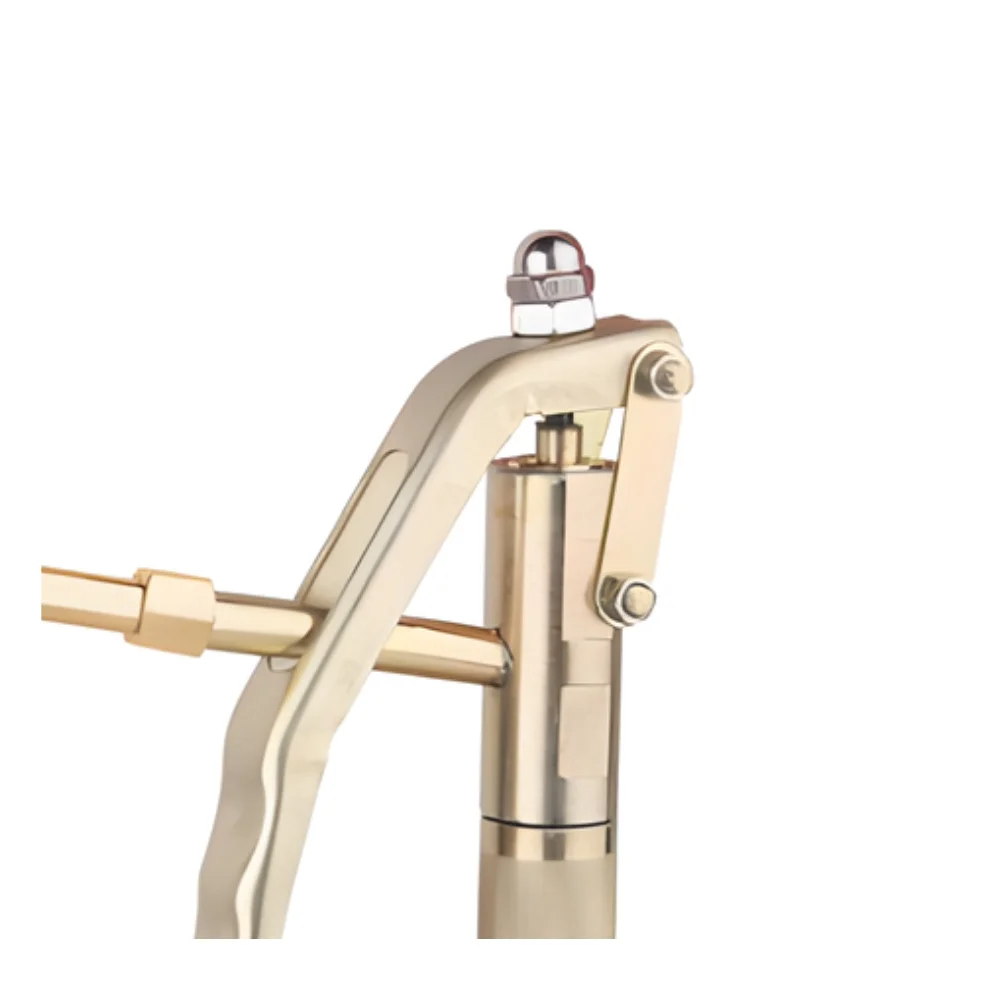 Comando Graxa com Extensão Rígida 1/4" NPT - Bremen