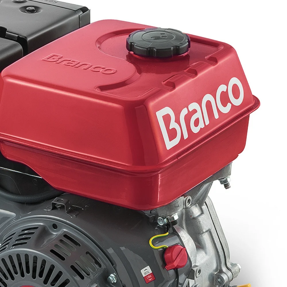 Motor à Gasolina B4T 13CV 4T Partida  Elétrica - Branco