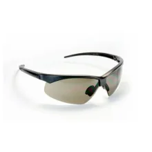 Óculos de Segurança Evolution Cinza - Carbografite