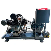 Compressor de Ar 60 Pcm 23Hp a Combustão 250 Litros 175Lbf - Pressure-5325