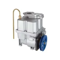 Bomba de Palhetas 80L/min Conexões 1 ½ Pol BSP Etanol, Diesel e Gasolina - Bremen-3053