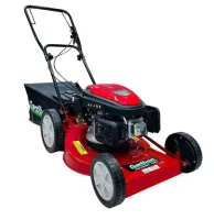 Cortador de Grama a Combustão 6,0HP GR-6000S – Garthen-00033289.7