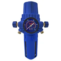 Filtro de Ar Duplo 1/2 x 1/4pol 160psi PDR - PRO-015